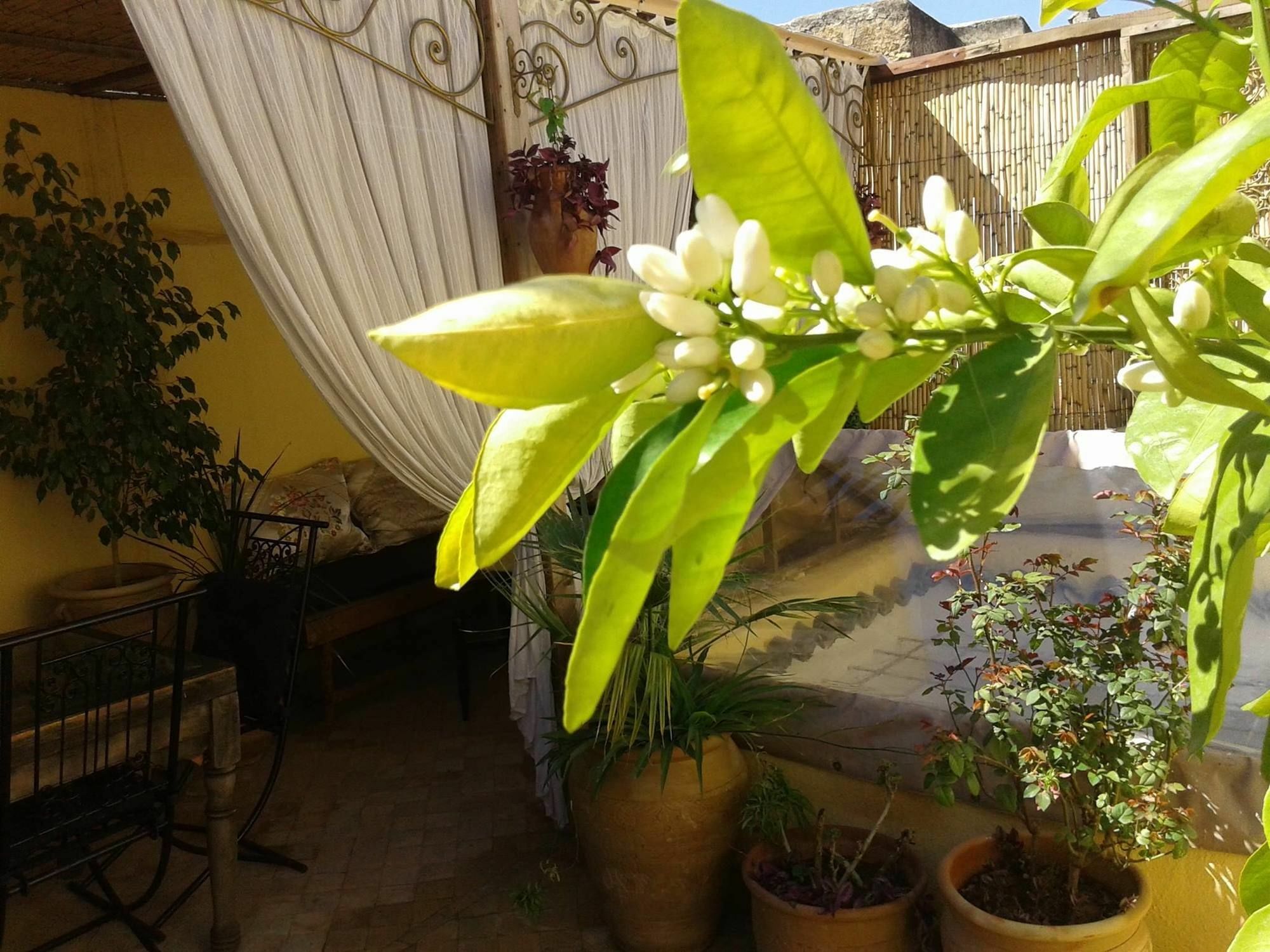 Riad Dar Arsama Fès Extérieur photo